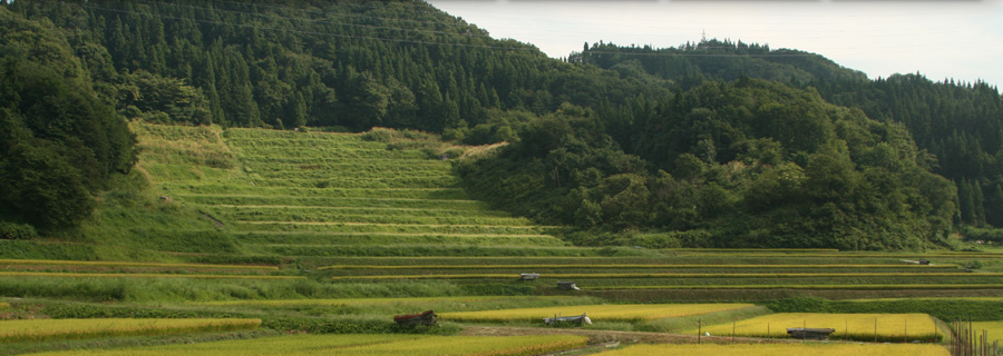 山辺写真