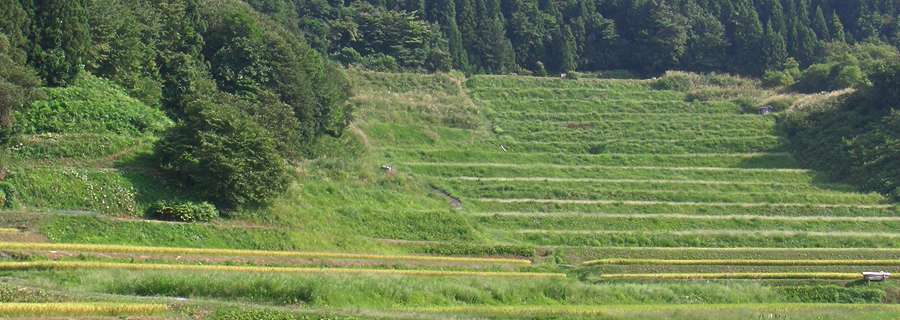 山辺タクシー写真